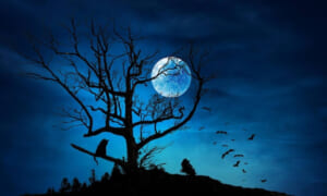 【闇に潜む影】短編小説